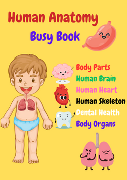 Human Anatomy Busy Book